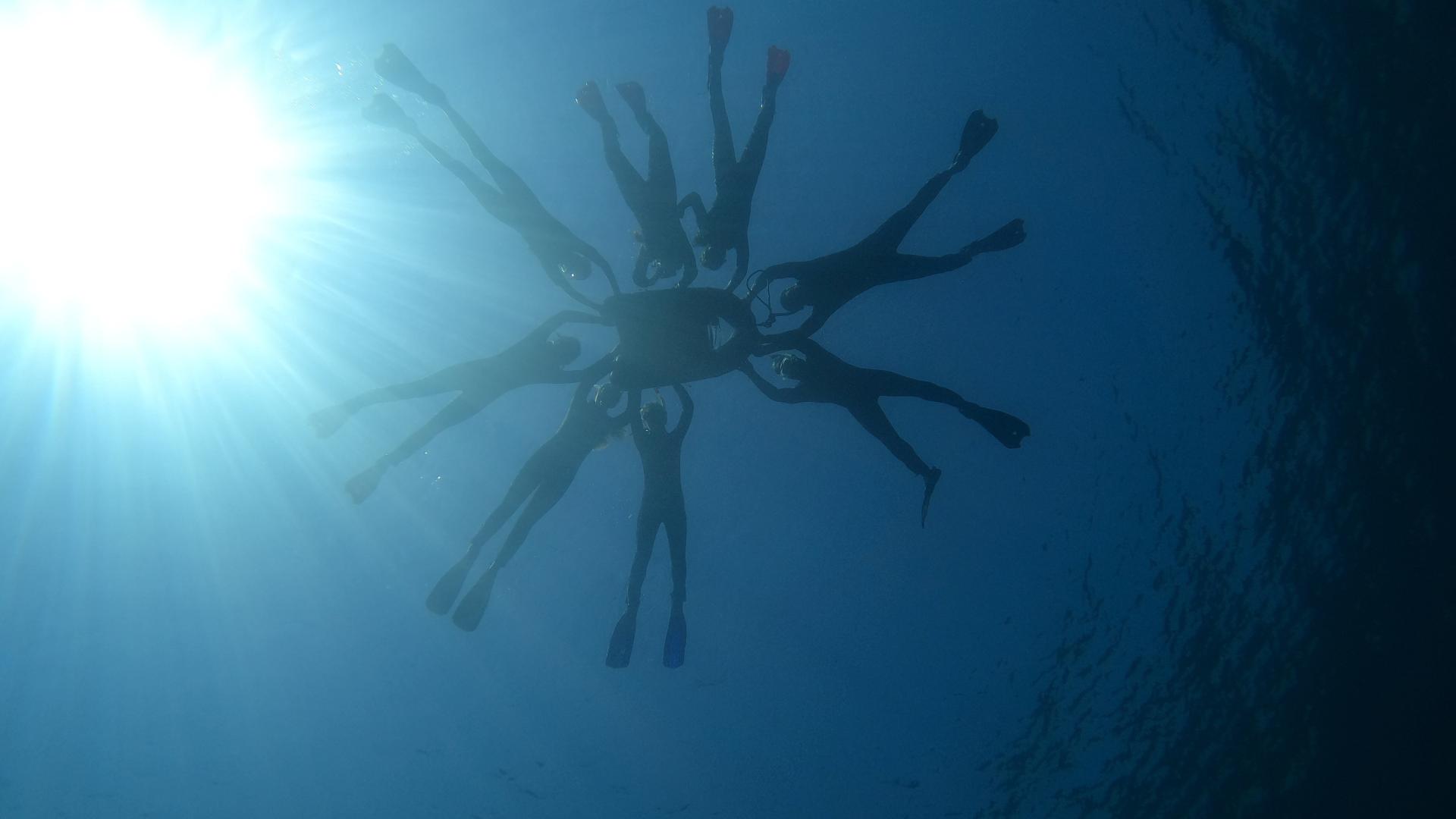 Ocean