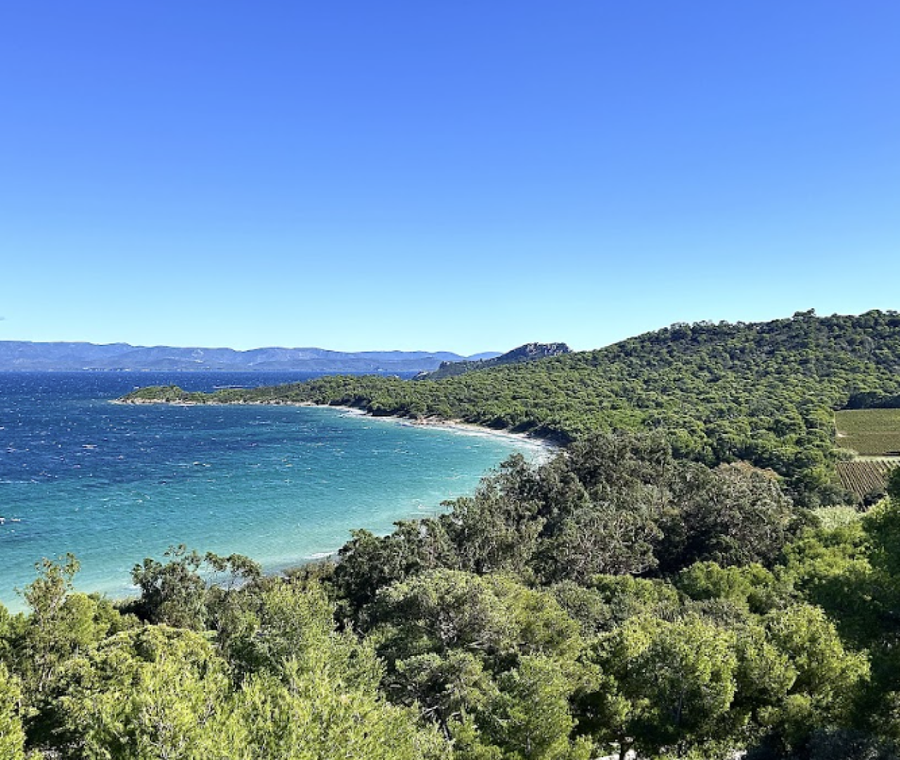 Partez à la découverte de Porquerolles au départ du port d'Hyères