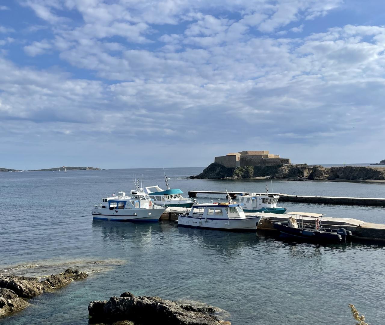 Plongée sous-marine 