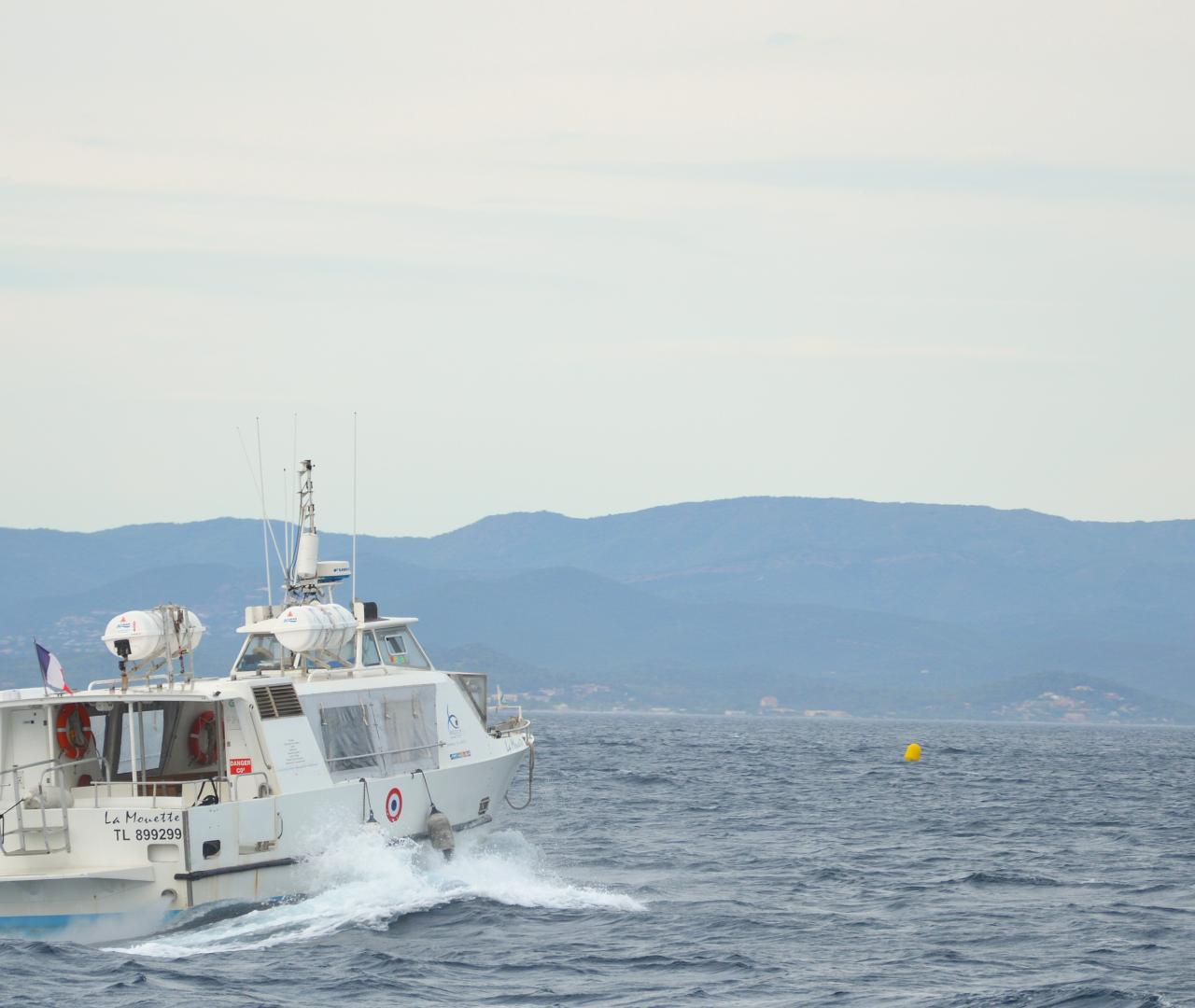 Embarquez pour une excursion en mer !