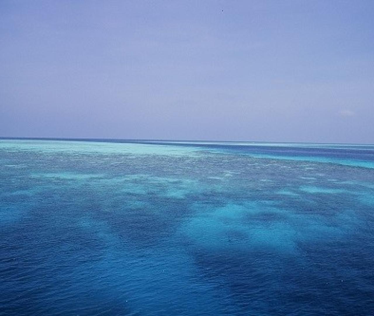 Explorez le monde avec Espace Voyage - Oceanes